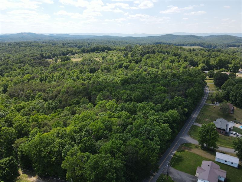 33.785 Acres Land Sell Henry Land for Sale in Bassett, Henry County