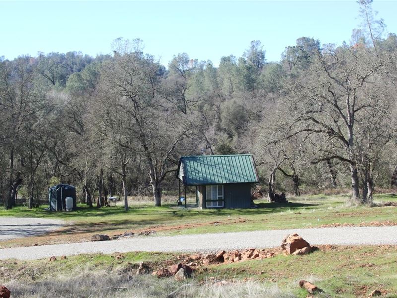 Come Enjoy Opportunity Country Land for Sale in Browns Valley, Yuba