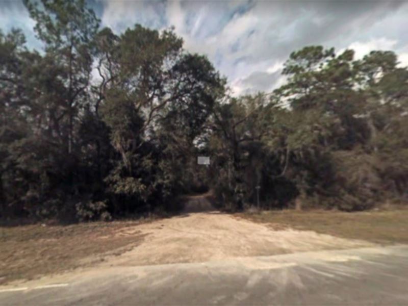 Lot for Sale in Clay County, FL : Keystone Heights : Clay County : Florida