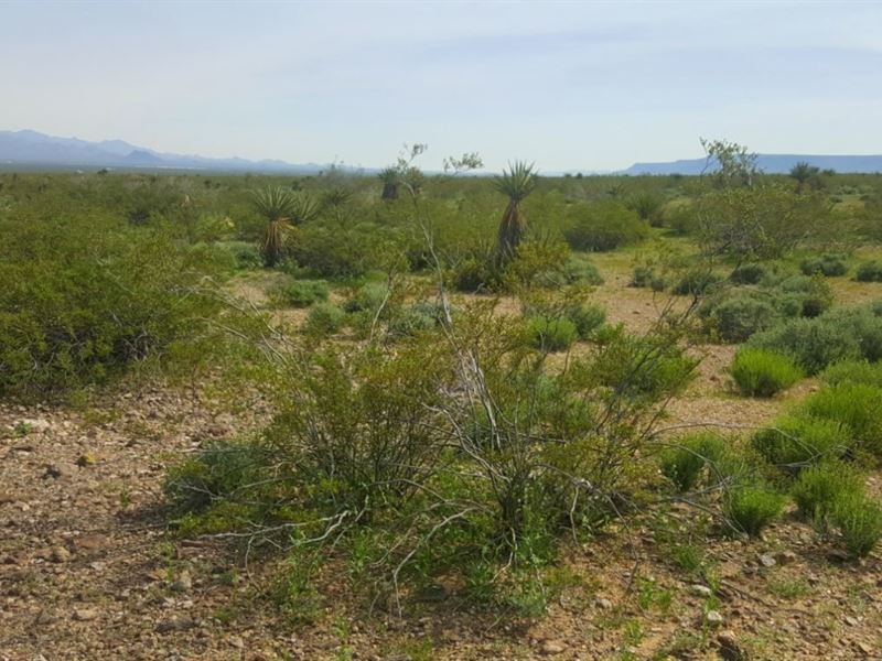 2.5 Acres for Sale in Golden Valley : Golden Valley : Mohave County : Arizona