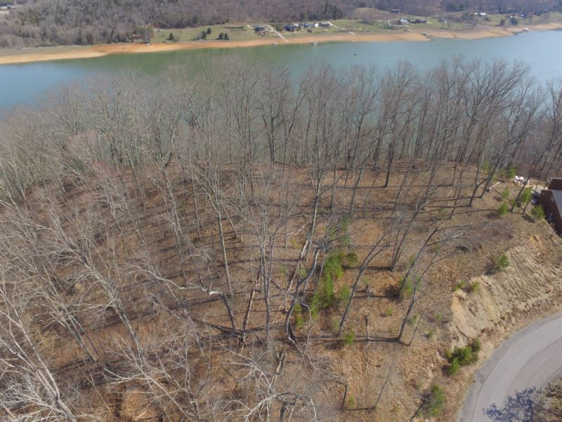 2 + Acre Lot Overlooking Lake : Whitesburg : Hawkins County : Tennessee
