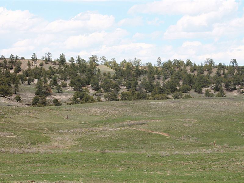 Wendover 80 Acres : Guernsey : Platte County : Wyoming