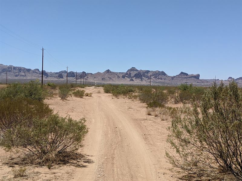 2 Acre with Power at Road : Golden Valley : Mohave County : Arizona