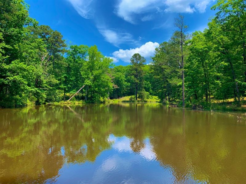 Prime Development Tract, North Jas : Monticello : Jasper County : Georgia