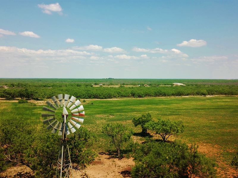 High Fenced 100 Acre Hunting : Carrizo Springs : Dimmit County : Texas