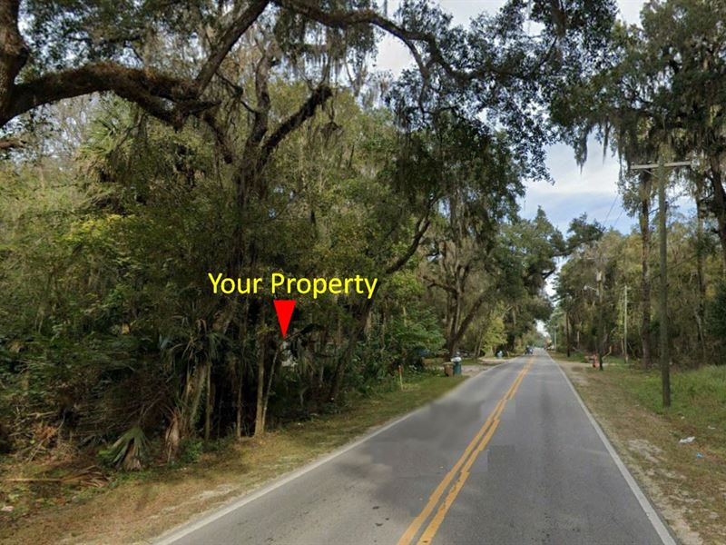 .34 Acre Near Downtown Ocala : Ocala : Marion County : Florida