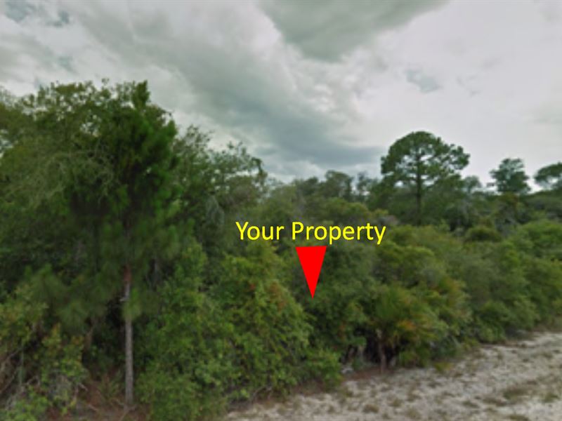 1.14 Acre Near Avon Park Airport : Avon Park : Charlotte County : Florida
