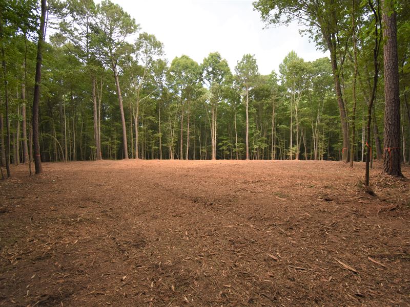 Wolfskin Tract : Arnoldsville : Oglethorpe County : Georgia