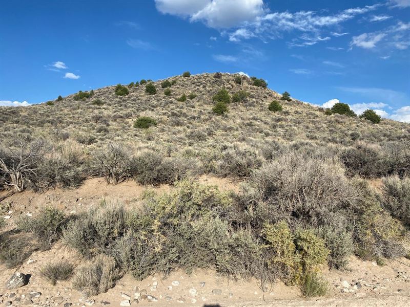 I Have a Beautiful Parcel of Land : Costilla County : Costilla County : Colorado
