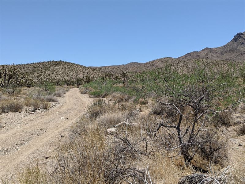 1 Acre Lot Ready to Make Yours : Dolan Springs : Mohave County : Arizona