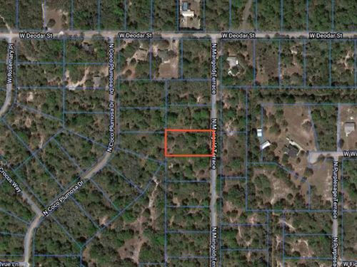 1.14 Acres in Citrus County, FL : Crystal River : Citrus County : Florida