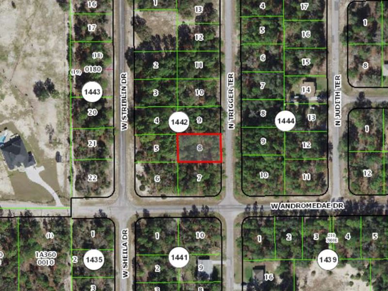 .23 Acres in Citrus County, FL Land for Sale by Owner in Citrus