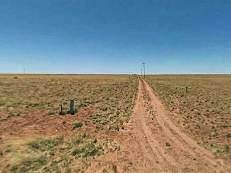 Full of Potential Acreage : Holbrook : Navajo County : Arizona