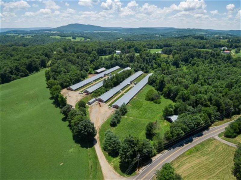 Very Clean Poultry Farm : Monroe : Overton County : Tennessee
