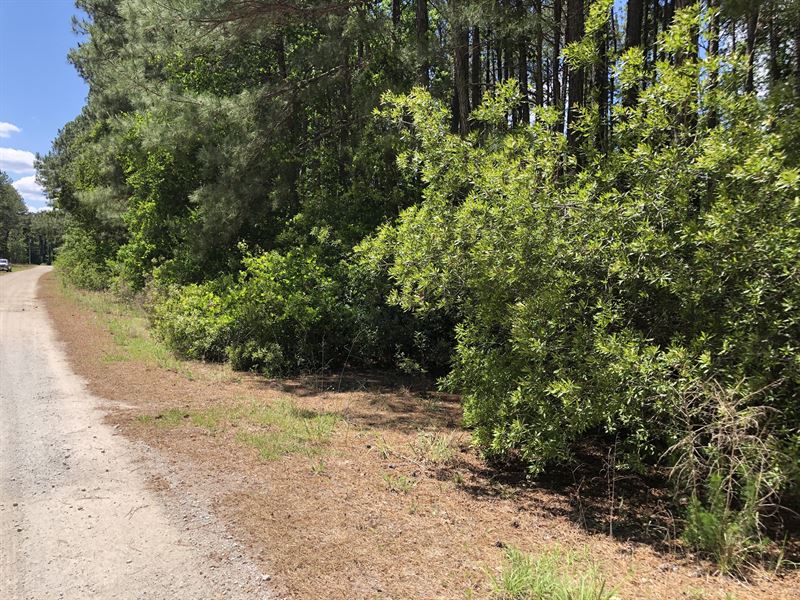 Land for Sale in Hyde County, NC : Belhaven : Hyde County : North Carolina