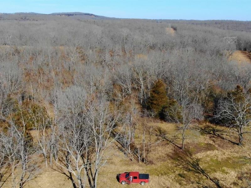 Owner Financed Missouri Property : Ava : Douglas County : Missouri