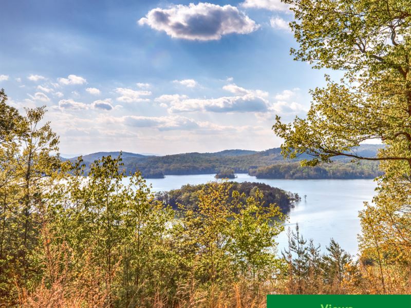 400 Ft Lakefront Lot on Norris Lake : Sharps Chapel : Union County : Tennessee