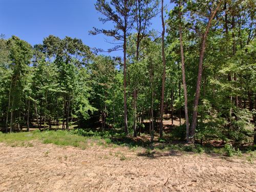Beautiful Waterfront Lake Lot : Huntingdon : Carroll County : Tennessee