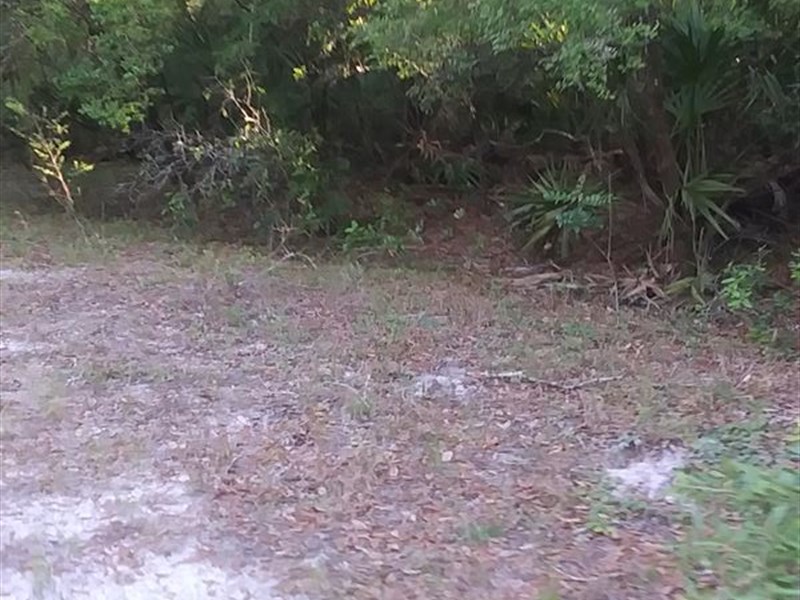 Seconds Away From The Suwanee River : Live Oak : Suwannee County : Florida