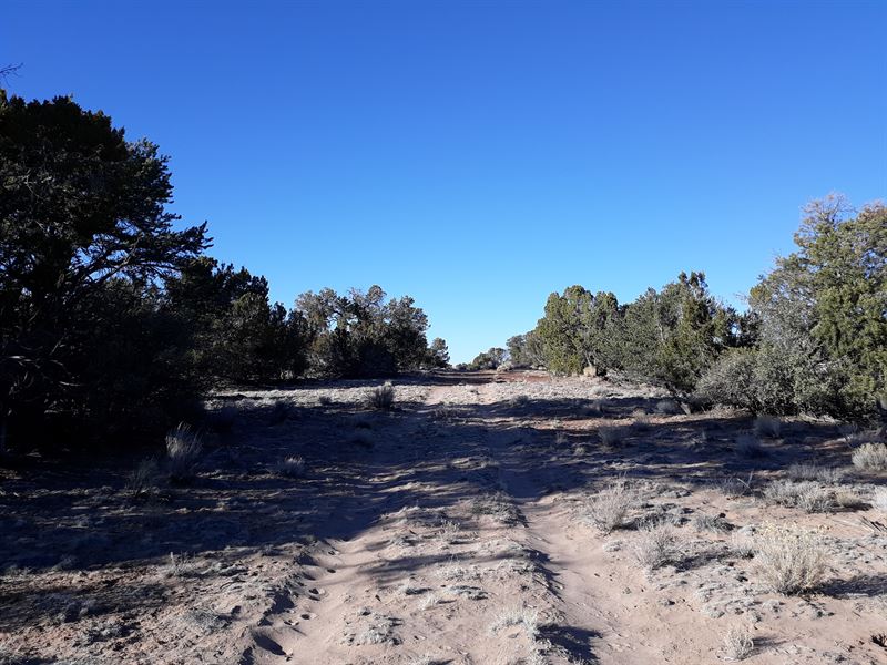 Your Wildest Dream in Apache County : Khara : Apache County : Arizona