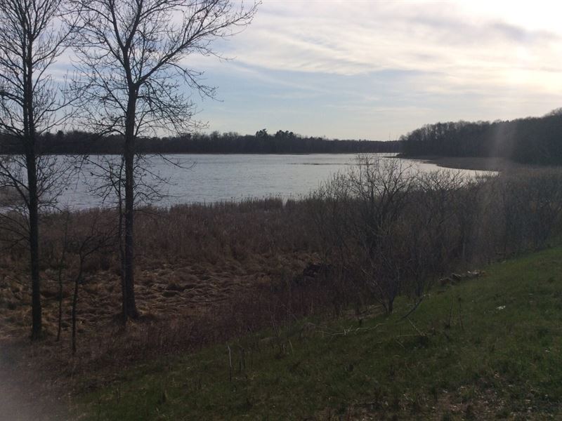 1 Ac Near Ossawinnamakee Lake : Breezy Point : Crow Wing County : Minnesota