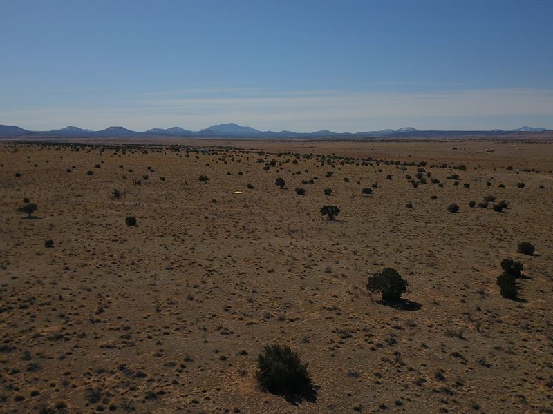 1 Acre Lot in Williams, AZ : Williams : Coconino County : Arizona