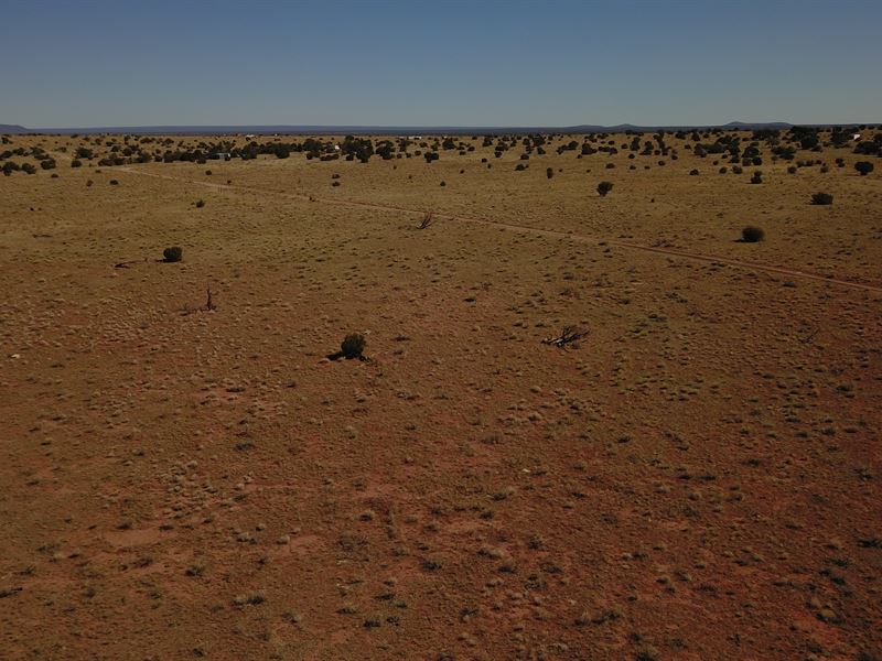 1 Acre Vacant Lot Near Flagstaff : Williams : Coconino County : Arizona