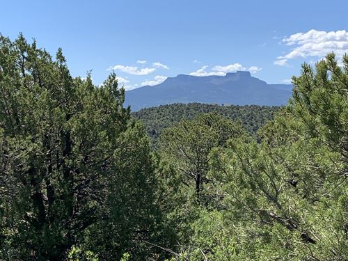 Colorado Land, Farms, and Ranches for Sale - Lands of America