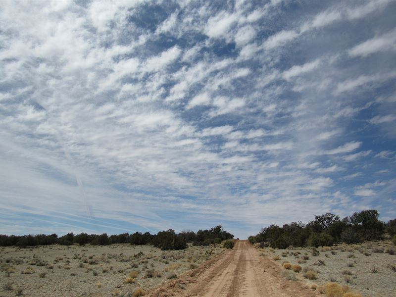 1.24 Acre Easy Access : Chambers : Apache County : Arizona