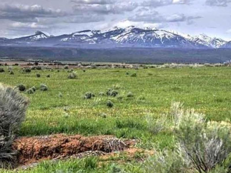 35 Acres Expansive LA Plata Views : Hesperus : La Plata County : Colorado