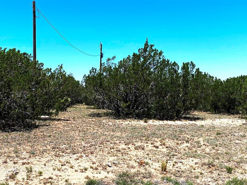 Mountain Property in Queen, NM : Carlsbad : Eddy County : New Mexico