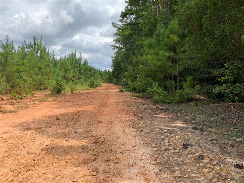 15.58 Wooded Acres Blackstock : Winnsboro : Fairfield County : South Carolina