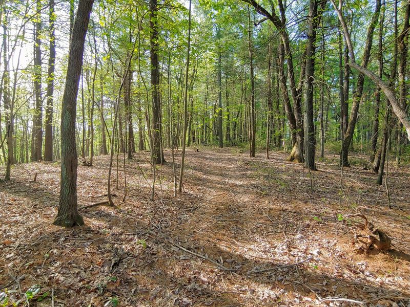 Mountain Land For Sale in Ferrum VA Land for Sale in Ferrum, Franklin