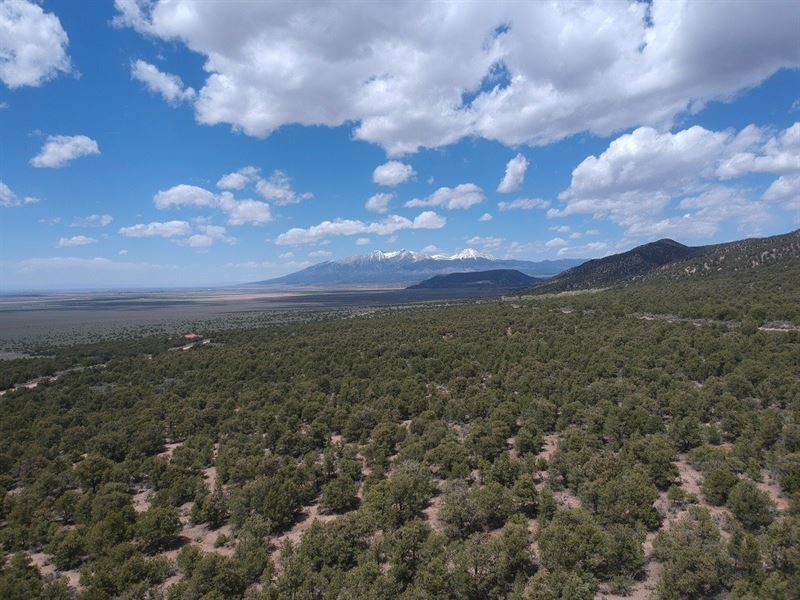 Electricity Mountains Trees Views : San Luis : Costilla County : Colorado