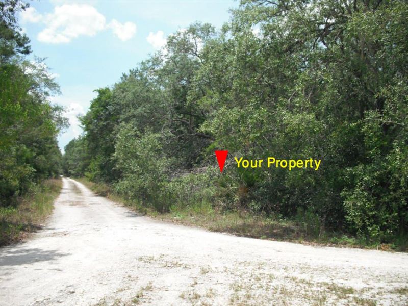 1 Ac, Agriculture, Mobile Friendly : Pomona Park : Putnam County : Florida