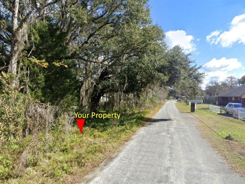 .25 Acre Lot Near St Johns River : Palatka : Putnam County : Florida