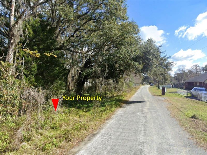 .25 Acre Lot on Paved Road : Palatka : Putnam County : Florida
