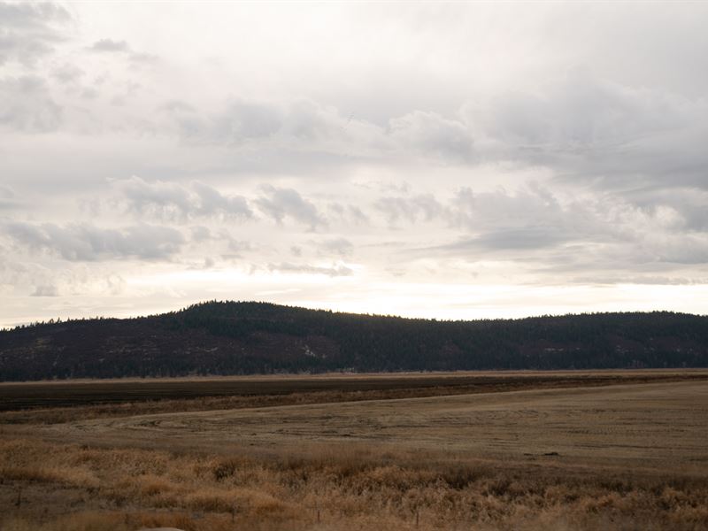 Enjoy What Nature Has to Offer : Chiloquin : Klamath County : Oregon