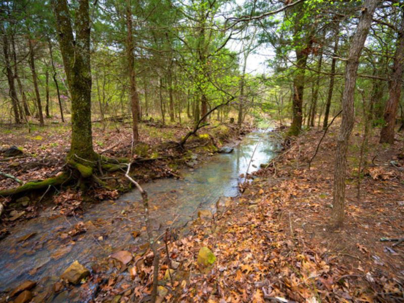Rock Creek Ranch : Bengal : Le Flore County : Oklahoma