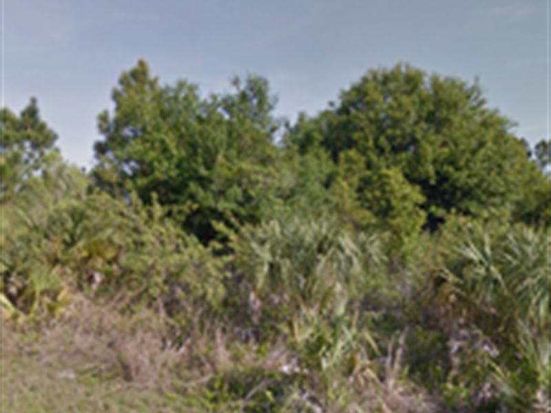 Lot Backing Up To Nature Preserve : North Port : Sarasota County : Florida