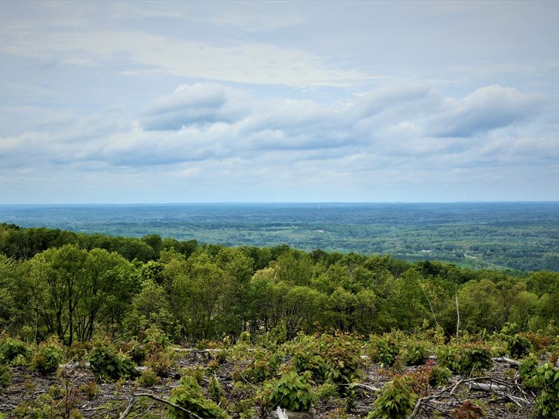 Million Dollar Views : Rockwood : Cumberland County : Tennessee