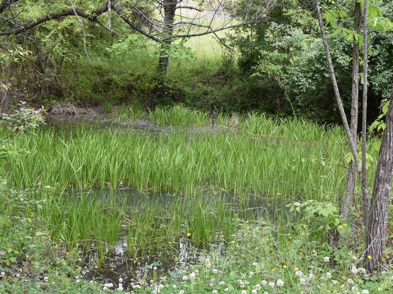 Country At Its Finest : Oak Dale : Morgan County : Tennessee