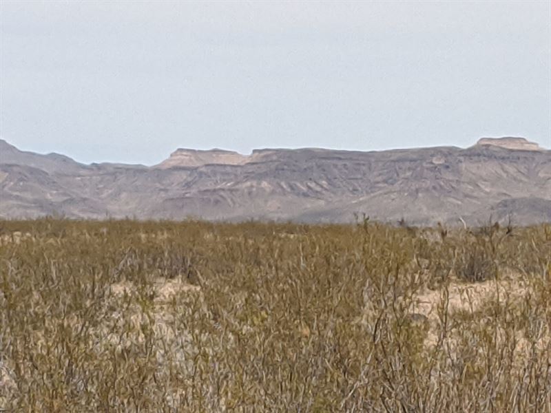 Gorgeous Desert Property : Golden Valley : Mohave County : Arizona