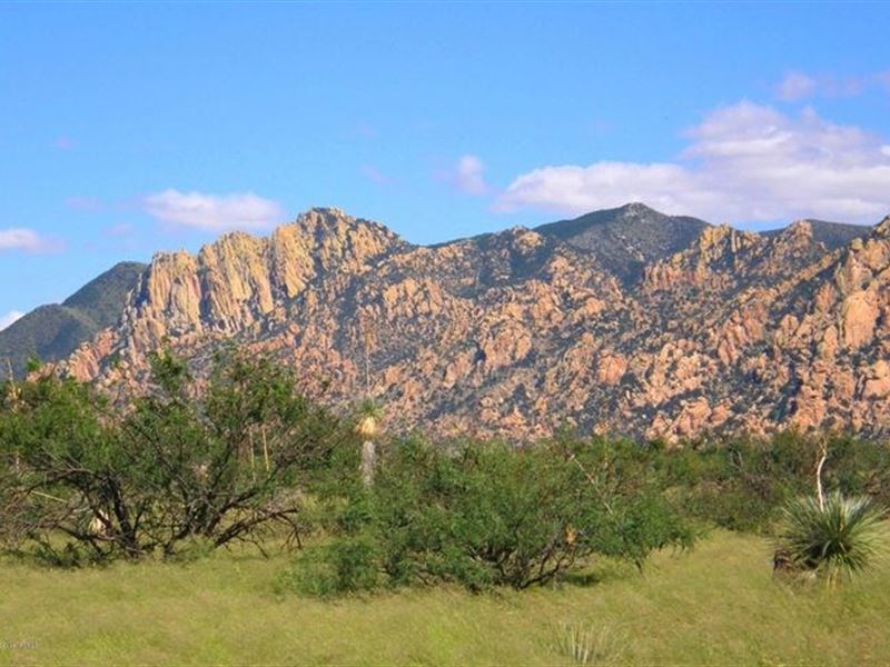 36 Acres Dragoon Mountain Ranch, St : Saint David : Cochise County : Arizona