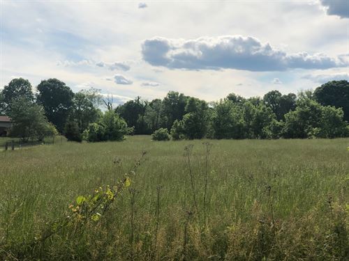 7.24 Surveyed Acres Level Land East : Mooresburg : Hawkins County : Tennessee