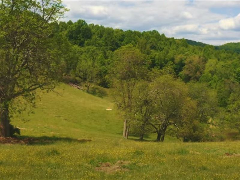 81 Acre Farm in East Tennessee : Tazewell : Hancock County : Tennessee