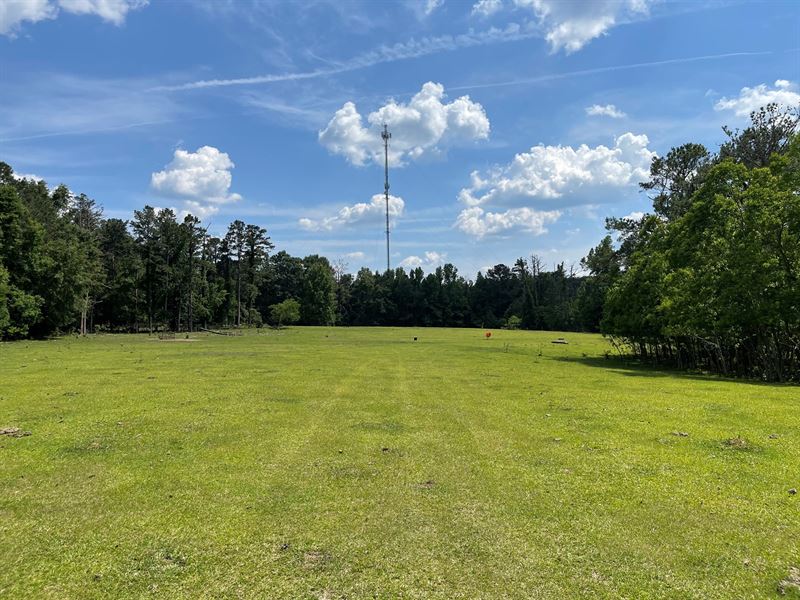 Greenville Butler County 14 : Greenville : Butler County : Alabama
