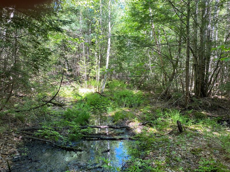 Maine Lake Access Land for Sale : Lincoln : Penobscot County : Maine