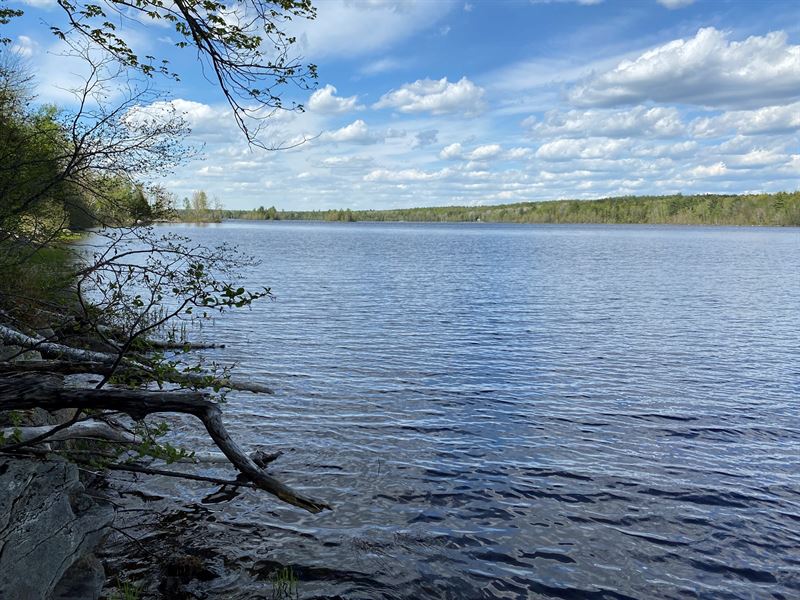 Maine Wilderness Lakefront Land : Molunkus : Aroostook County : Maine