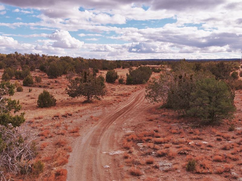 40.10 Acres in Mohave County : Peach Springs : Mohave County : Arizona